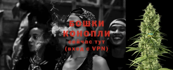 первитин Гусев