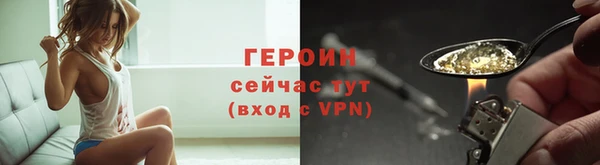 прущие грибы Гусиноозёрск