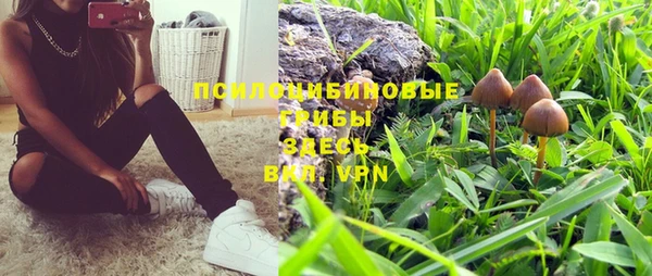 тгк Дмитров
