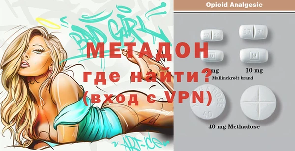 прущие грибы Гусиноозёрск