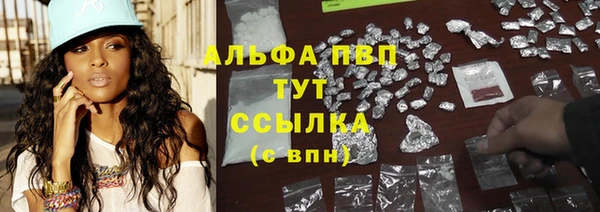 прущие грибы Гусиноозёрск