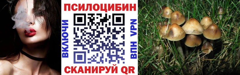 Галлюциногенные грибы мицелий  Купить  Пласт 